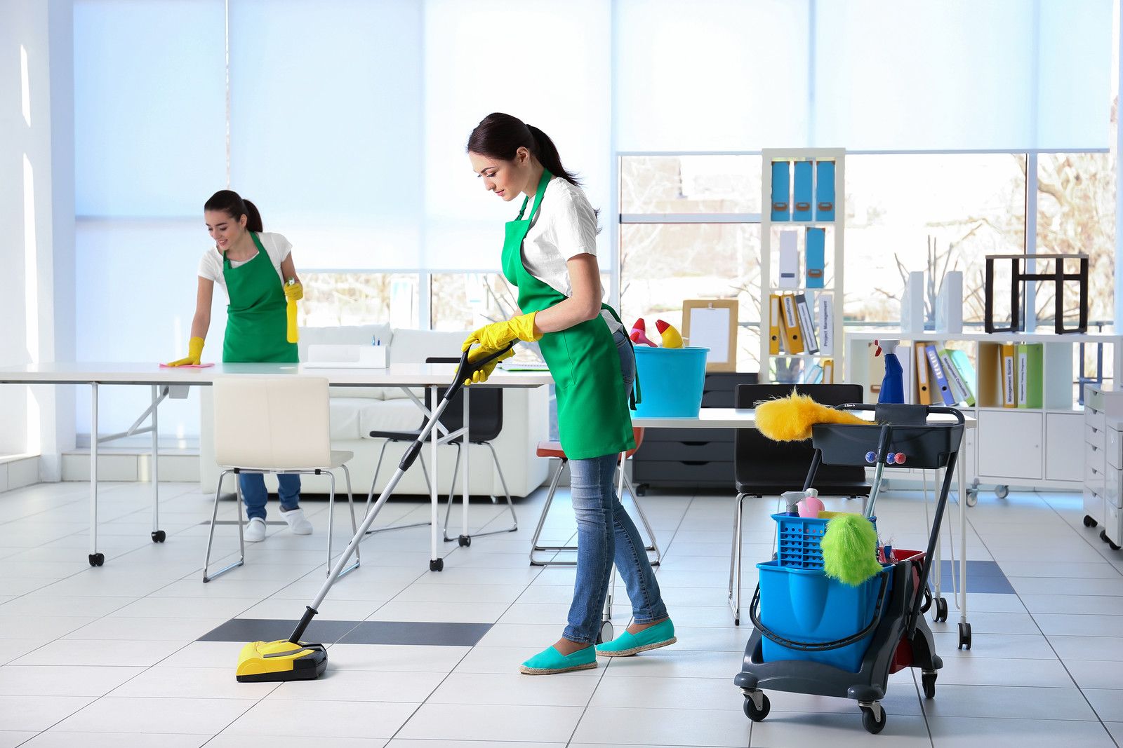 Professional Carpet Cleaning