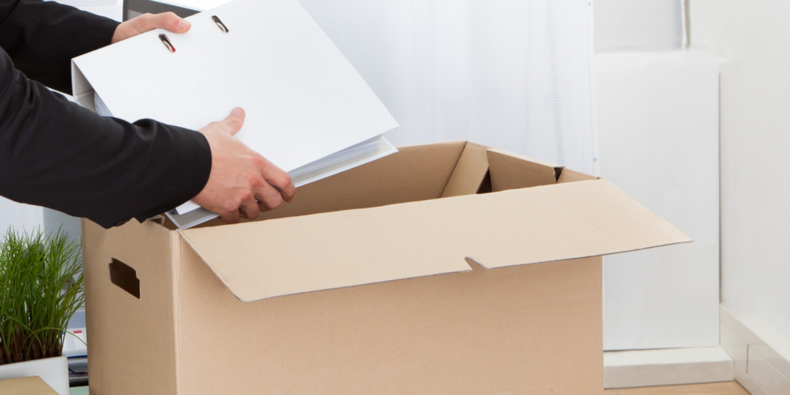 Removals Company